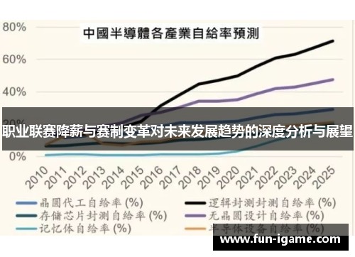 职业联赛降薪与赛制变革对未来发展趋势的深度分析与展望