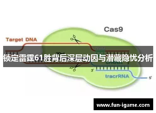 锁定雷霆61胜背后深层动因与潜藏隐忧分析